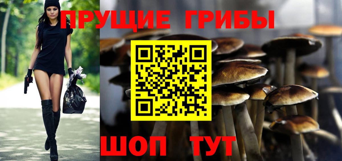 Галлюциногенные грибы Psilocybine cubensis  Вход с VPN  Люберцы 